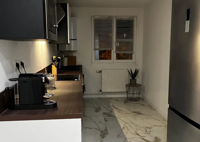 Apartment Spacieux Centre Colmar